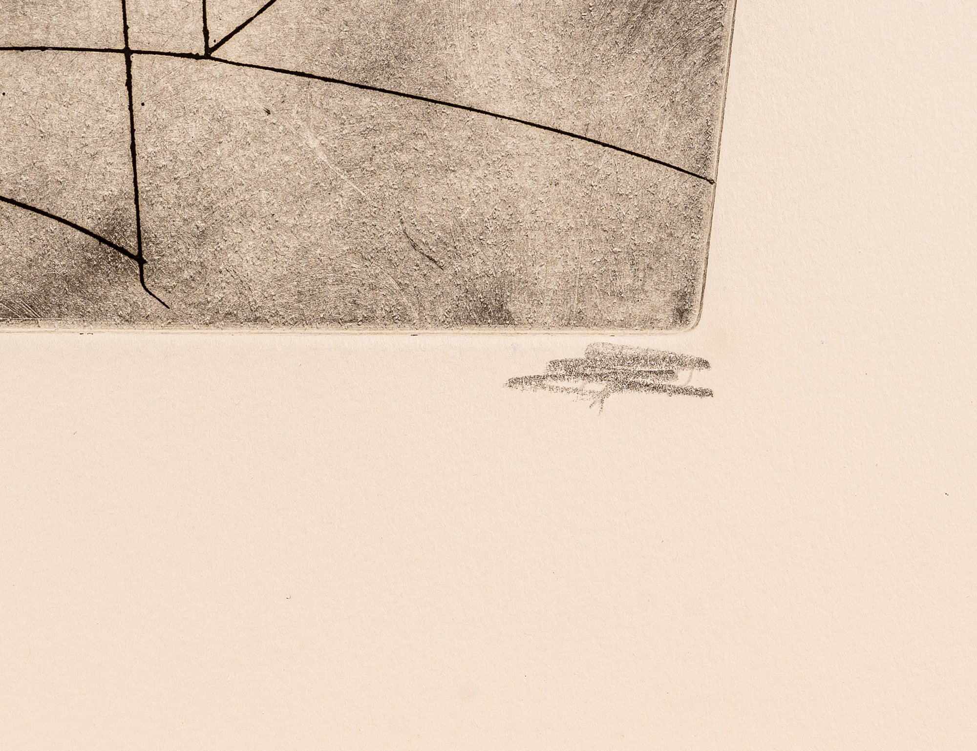 Still Life with Curves